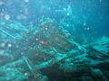 Thistlegorm (58)